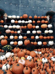11 Pumpkin Patches To Visit In The UK